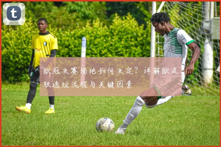 欧冠决赛场地如何决定？详解欧足联选址流程与关键因素